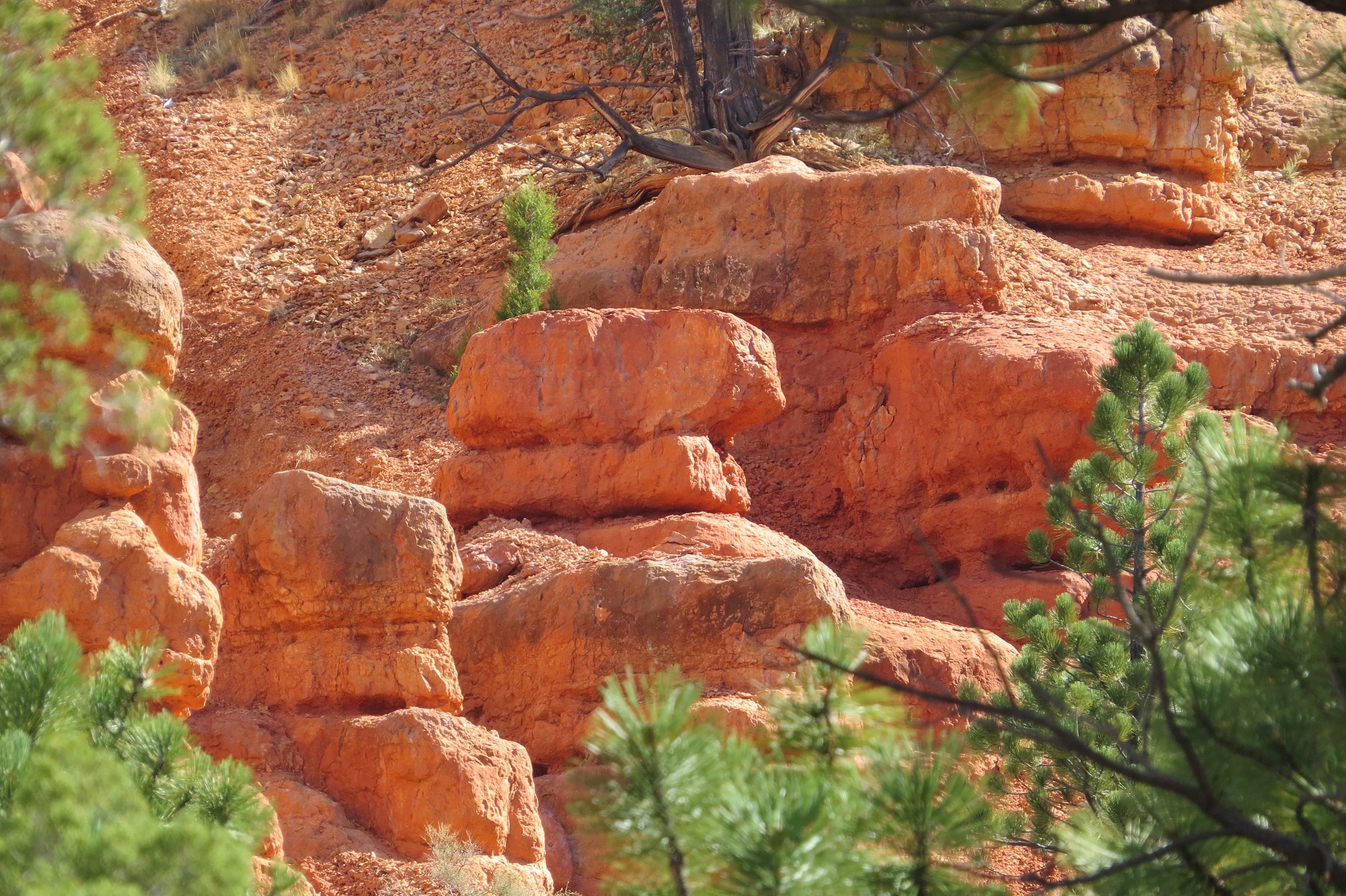 Red sandstone rocks behind the Red Canyon Visitor Center on UT Highway 12