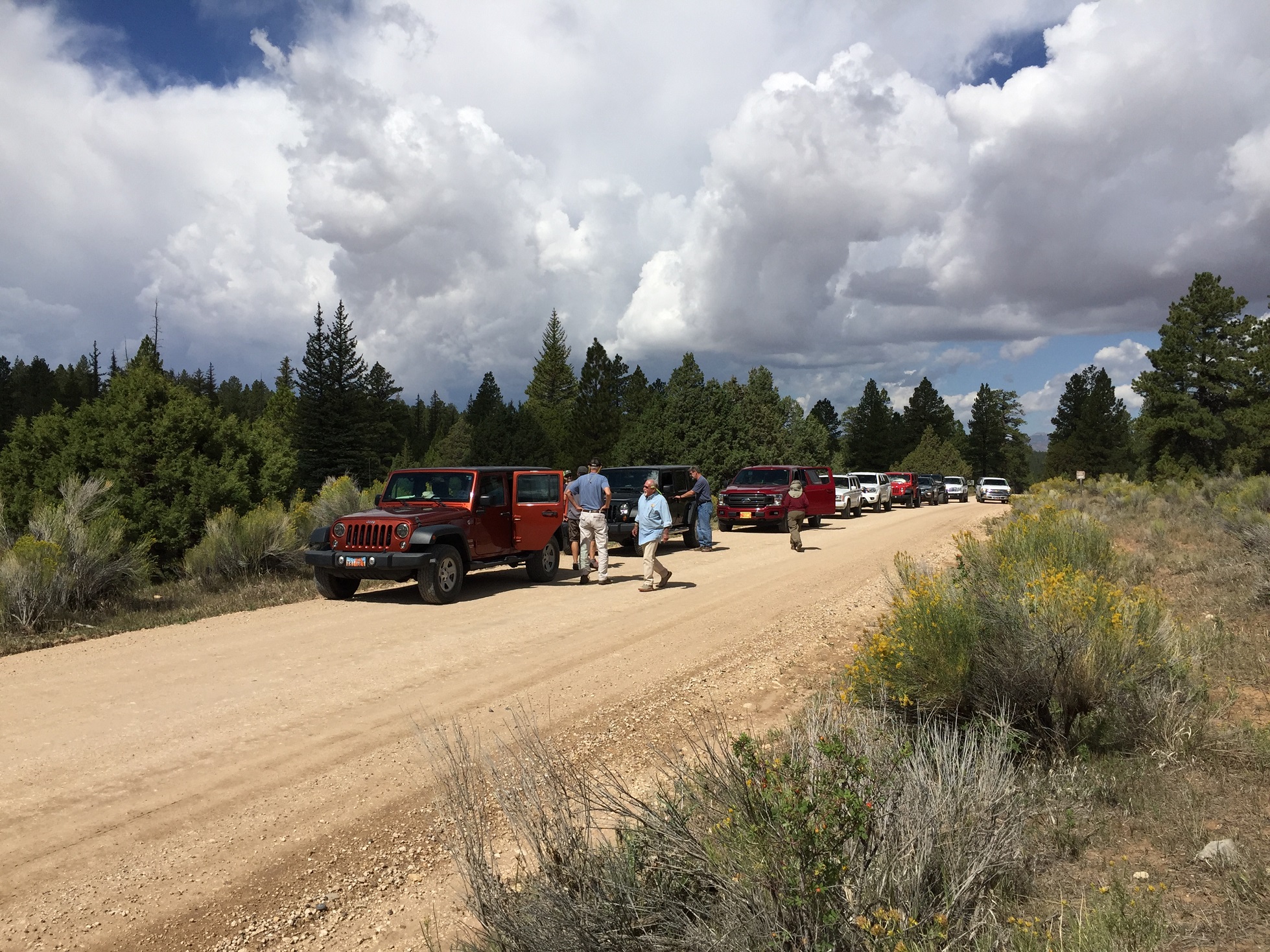 A caravan of cars stopped on Forest Service Road 132 until everyone catches up