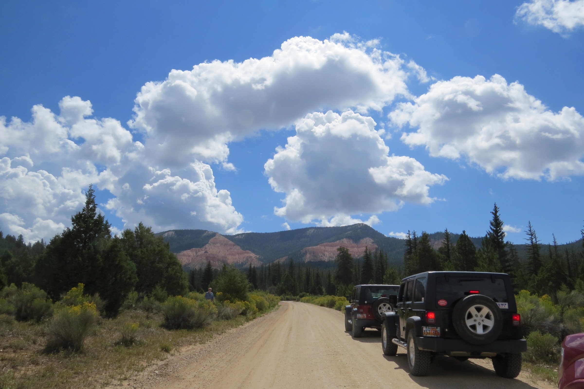 The leading cars in a caravan on Forest Service Road 132