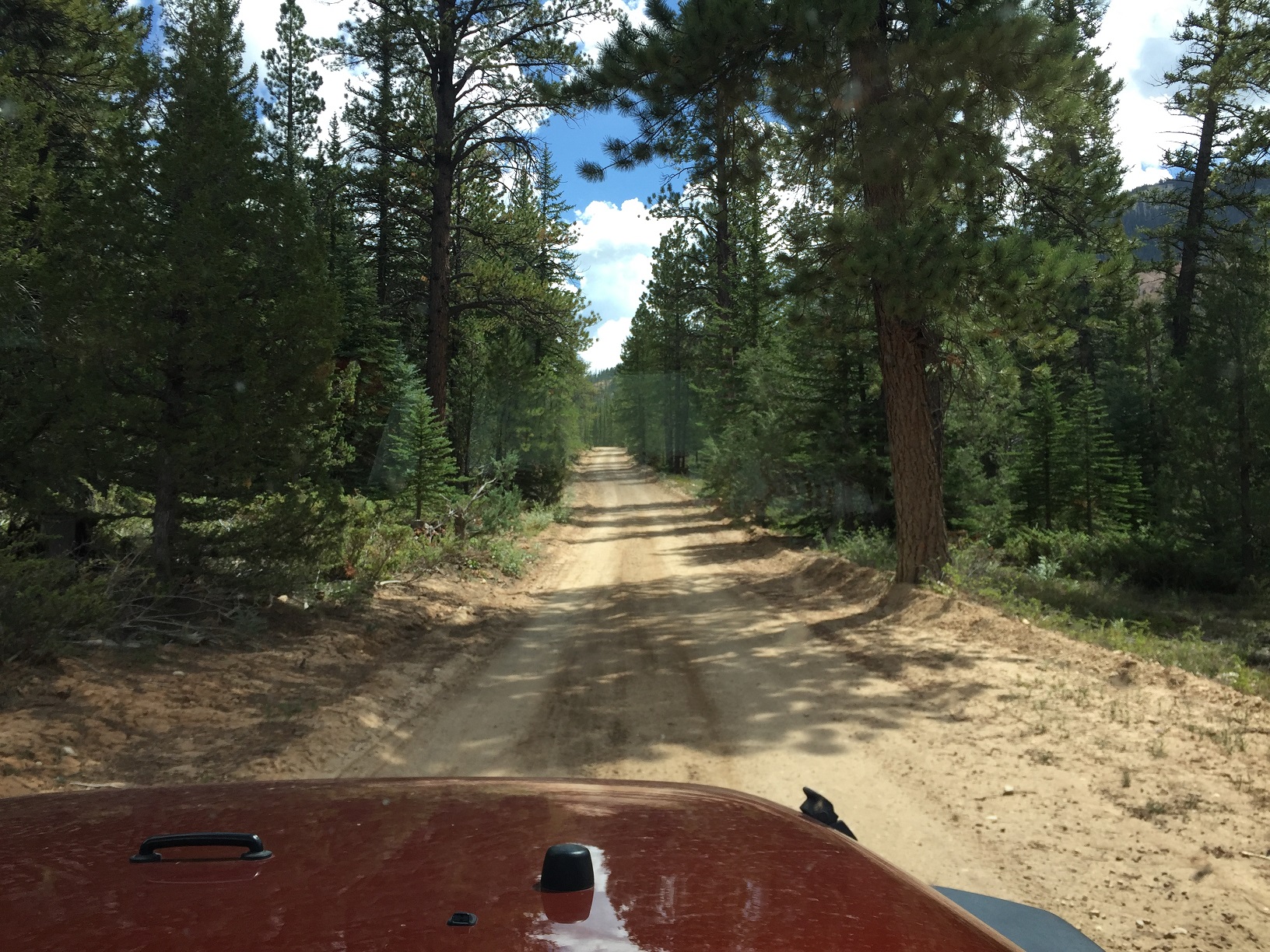 Forest Service Road 132
