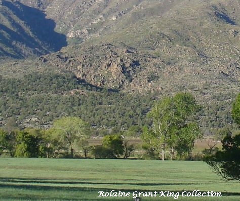 The Schmutz and Lee Farms as viewed from the town of New Harmony