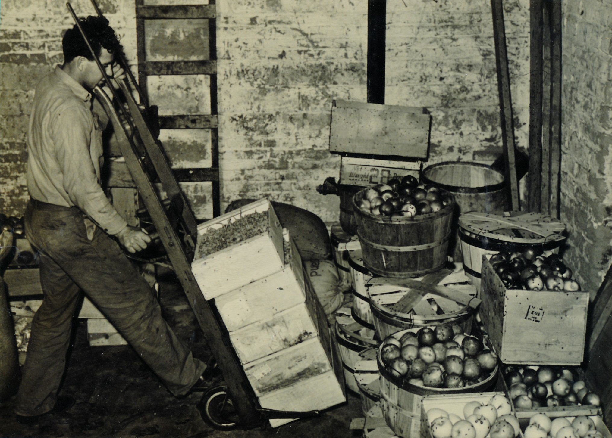 Landon Frei loading produce in the warehouse by the old Santa Clara Merc