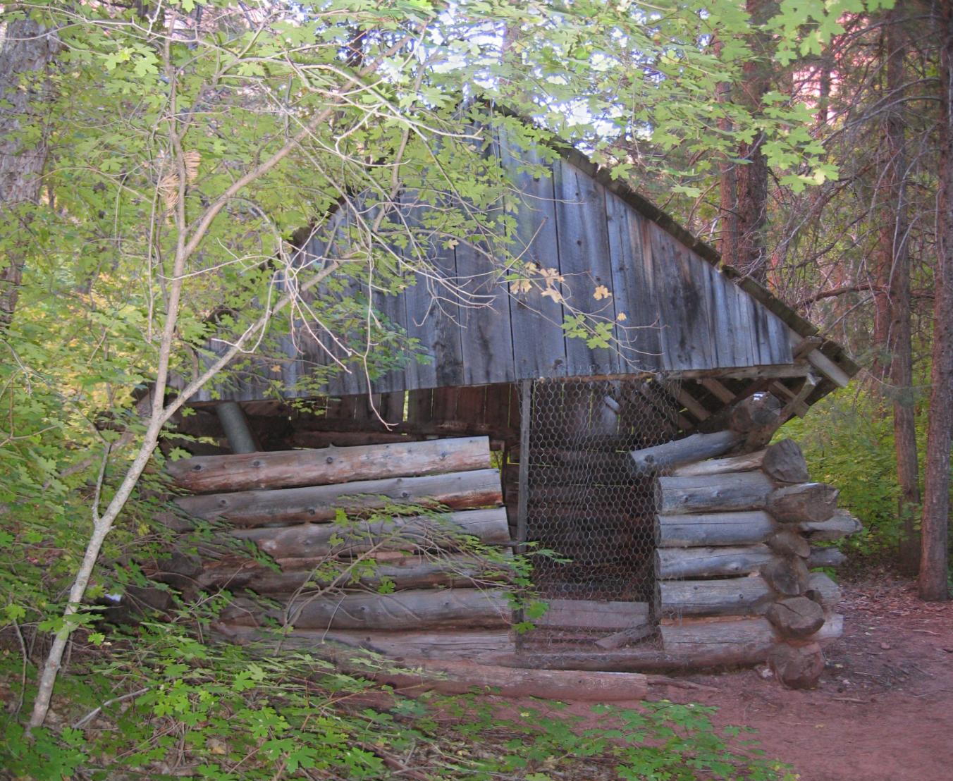 West side of Arthur Fife's cabin